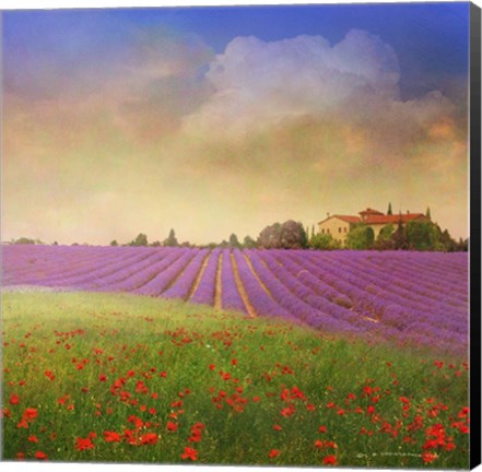 Framed Lavender Fields Print