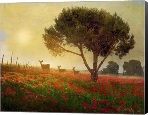 Framed Trees Poppies Deer Print