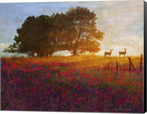 Framed Trees Poppies Deer 2 Print