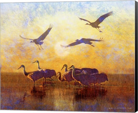 Framed Sunrise Cranes Print