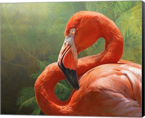 Framed Flamingo Print