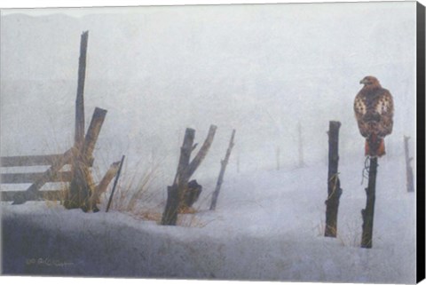 Framed Foggy Fence Redtail Print