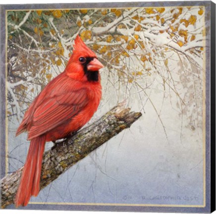 Framed Cardinal Snow Print