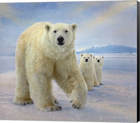 Framed Polar Bears Print