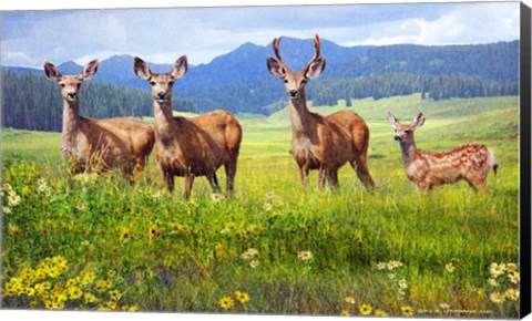 Framed Deer Family Print