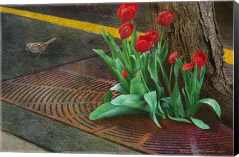 Framed Sparrow,Tulips And Sidewalk Print