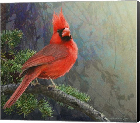 Framed Mountain Cardinal Print