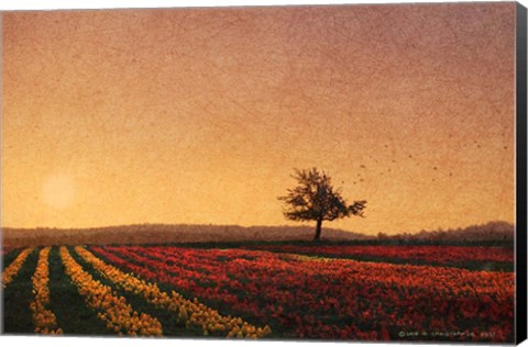 Framed Lone Tree Tulips Print