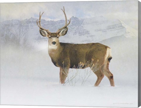 Framed Bucky Deer Snow Print