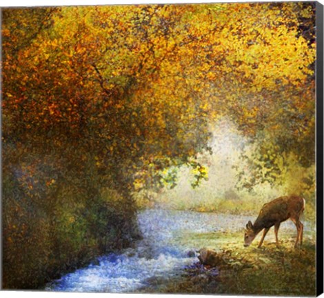 Framed Deer By Woodland Brook Print