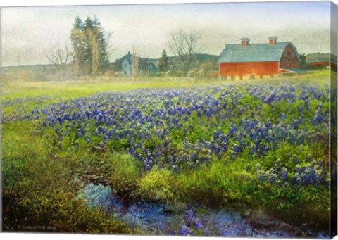 Framed Blue Bonnet Barn Print