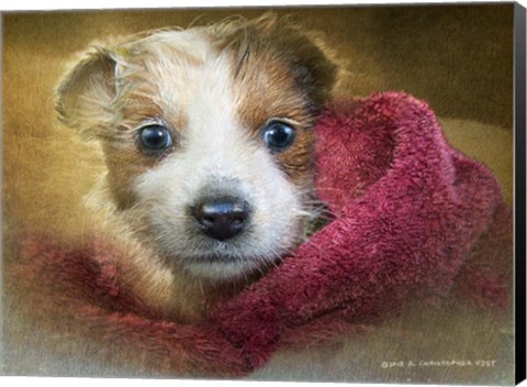 Framed Puppies First Bath Print