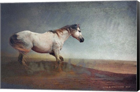 Framed White Horse Dust Storm Print