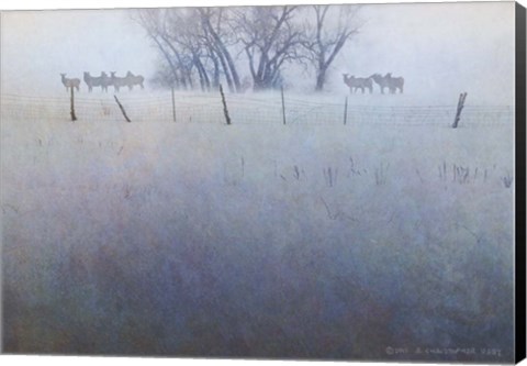 Framed Fence Line Elk Print