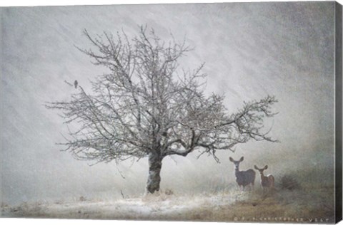 Framed Lone Tree Deer Kestral Print