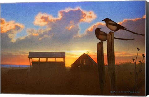 Framed Magpies At Sunset Print