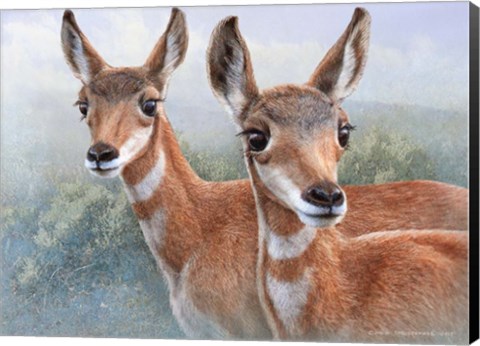 Framed Cute Baby Pronghorns Print