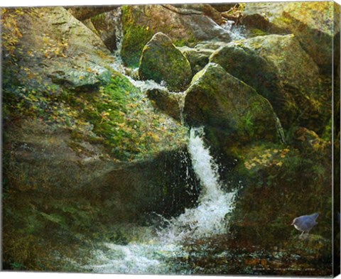 Framed Waterfall With Dipper Print