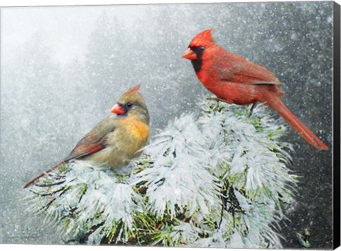 Framed Snow Cardinals Print