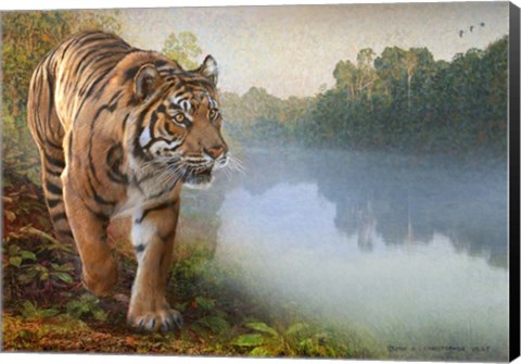 Framed Tiger Along the River Print