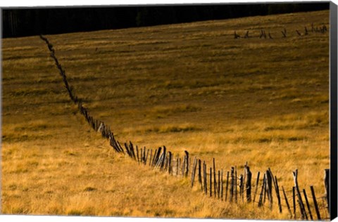 Framed Escudilla Mountain Meadow Fall 1 Print