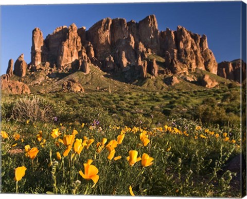 Framed Lost Dutchman State Park Superstition Mtns Print