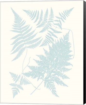 Framed Serene Ferns IV Print