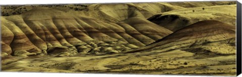 Framed Painted Hills Print