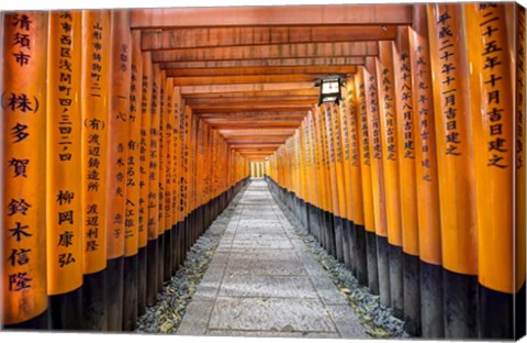 Framed Fushimi Inari Taisha Shrine Kyoto Print