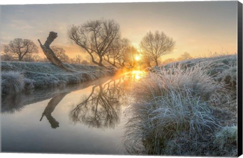 Framed Sunrise Burns the Early Morning Mist off Beverly Brook Richmond Park 2 Print