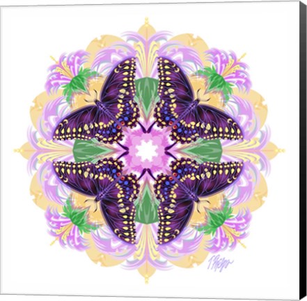 Framed Pink Petal Swallowtail Mandala Print