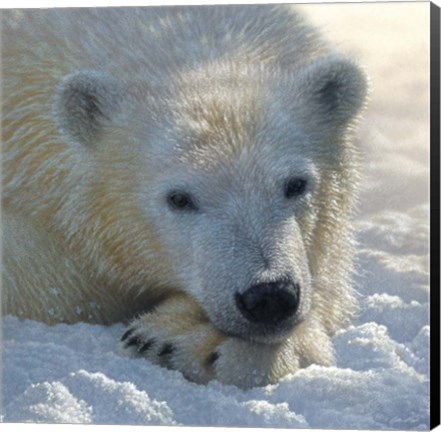 Framed Polar Bear Club Print