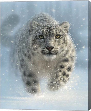 Framed Snow Leopard - Snow Ghost - Vertical Print