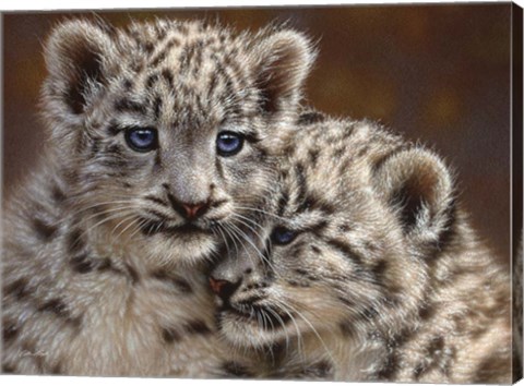 Framed Snow Leopard Cubs - Playmates - Horizontal Print