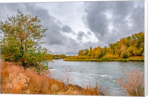 Framed Snake River Autumn I Print