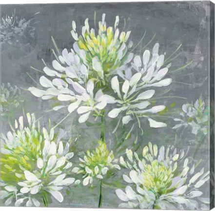 Framed Farmhouse Cleome I Print