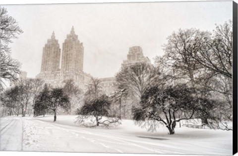 Framed Blizzard In Central Park Print