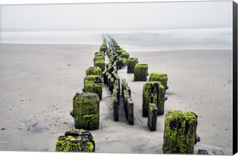 Framed FMK-307 Fog On Beach Print