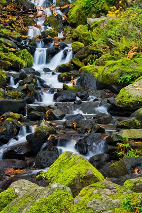 Framed Starvation Creek Falls In Autumn, Columbia Gorge Oregon Print