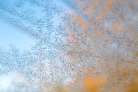 Framed Frost Patterns Formed On Glass Print