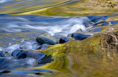 Framed Oregon Abstract Of Autumn Colors Reflected In Wilson River Rapids Print