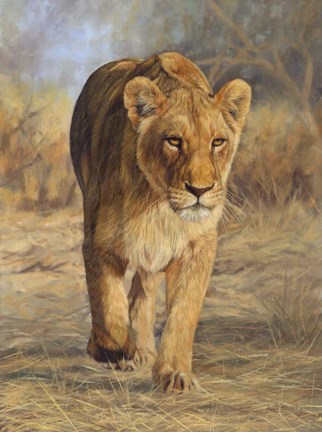 Framed Lioness Walk Print