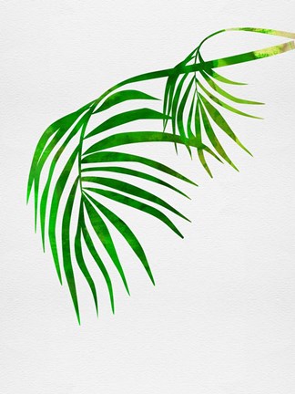 Framed Palm Tree Leaves Print