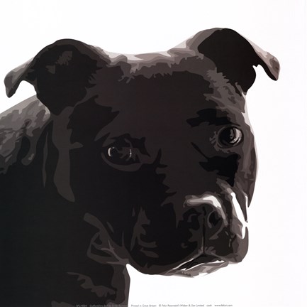 Framed Staffordshire Bull Print