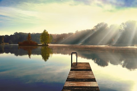 Framed On Juniper Lake Print