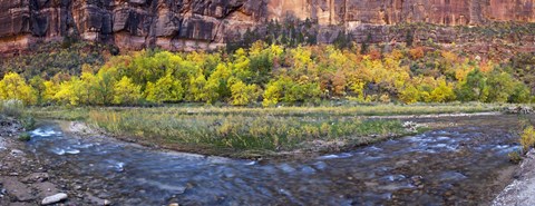 Framed Virgin River at Big Bend, Zion National Park, Springdale, Utah, USA Print