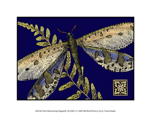 Framed Mini Shimmering Dragonfly III Print