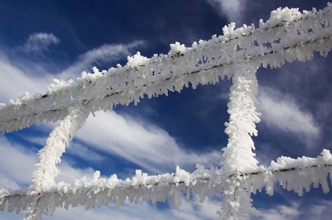 Framed Frosty Wire Fence, Otago, South Island, New Zealand Print