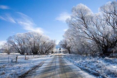 Framed Hoar Frost near Oturehua, Central Otago, South Island, New Zealand Print