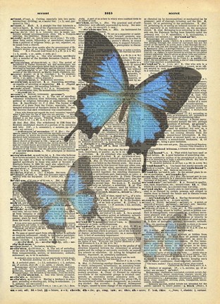 Framed Secret Butterfly I Print